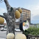 배꽃가든 | 덕화배꽃마을 | 별내 가족 식사 추천 오리 및 닭 능이백숙 맛집 방문 후기