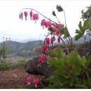 이정화농장 이미지