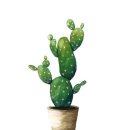 수채화 일러스트 이미지