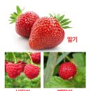 어릴적 추억 이미지