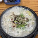 미풍식당 | 제주시 맛집 추천 모음: 미풍해장국/명태명가/장수물 식당