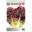 씨앗 - 남양주시 덕소로116번길 11 | 씨앗