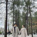 시에르 풀빌라 이미지