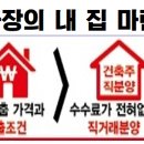 진성투토펠리체 이미지