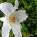 화~~수요일 이미지