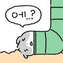 크레스타운 이미지