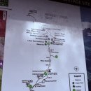 베이스캠프 | 코타키나발루 &lt;&lt;인생 첫 고산 도전기&gt;&gt; : 새벽산행 후 일출보기, 베이스캠프 후기, 고산식물