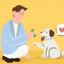 아떼꼬떼 동물병원 이미지