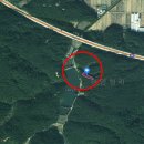 하양혈리 이미지