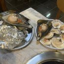 짱조개나라 이미지