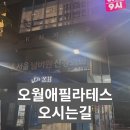 오월애약국 이미지