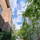 지에스25 대구성당못점 이미지