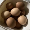 현서농장 | 3월 안녕! 바쁜 일상 속 결혼 준비와 맞이하는 따뜻한 봄 기록