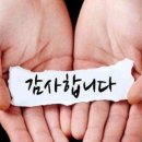 선한세차