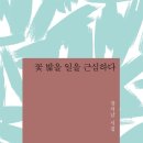 돌멩이들 / 장석남 『조선일보/문태준의 가슴이 따뜻해지는 詩』 이미지