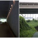 아래쇠죽골천 이미지