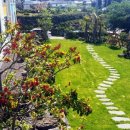 서호초등학교 병설유치원 이미지