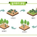 숲뒤지 네이버블로그