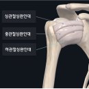 지우한의원 이미지