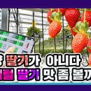 스마트정보통신 이미지