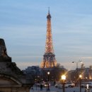 장 미디어 이미지