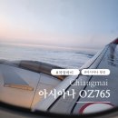 765 | 아시아나 인천 ➡️ 치앙마이 OZ765 극성수기 일정 변경 후기(특별기내식 신청)
