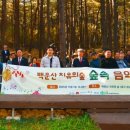 치유의숲 이미지