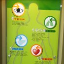 영천한약재전시관 Daum카페