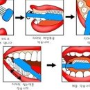 후랩스