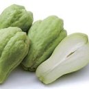 차요태 효능 달짝지근한 차요테 효능 먹는법 이미지