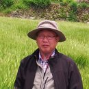 대한꽃농원 이미지