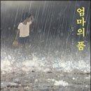 품 Daum카페
