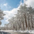 (주)본비코리아 이미지