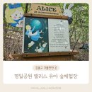 명일공원 유아숲체험원 이미지