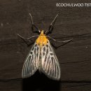 검은들로 이미지