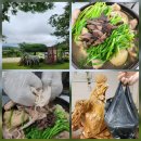 고성 델피노 맛집 추천 속초 토종닭 백숙 창바위식당 포장 고성여행