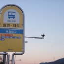 석현목장 Daum카페
