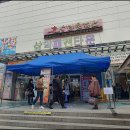 삼익패션안경 이미지