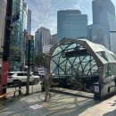 원더핏 | 넙대대한 얼굴살 빼주는 원더핏주사 광대맞은 내돈내산 후기