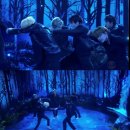 더 스완 컴퍼니