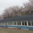 한영농장 이미지