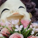 하나메디칼의원 이미지