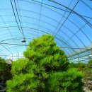 마음의 문 이미지