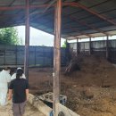 빛가람축산 이미지