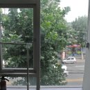 김지산 복싱센터 이미지