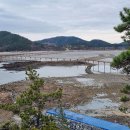 양지-3165 이미지