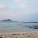 애월에낭 민박 이미지