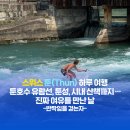 강가의 작은도시 | EP9.스위스 툰(Thun) 하루 여행 — 툰호수 유람선, 툰성, 시내 산책까지… 진짜 여유를 만난 날