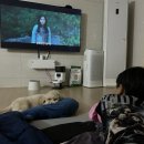 성민보육원 | [초등학생 영화추천] 강동원 주연 &#39;가려진 시간&#39; 후기: 세상이 믿어주지 않는 단 하나의 진실에 대하여