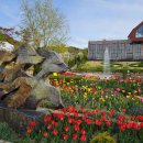 베툴라 자작나무숲 펜션 이미지